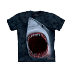 T-shirt Requin